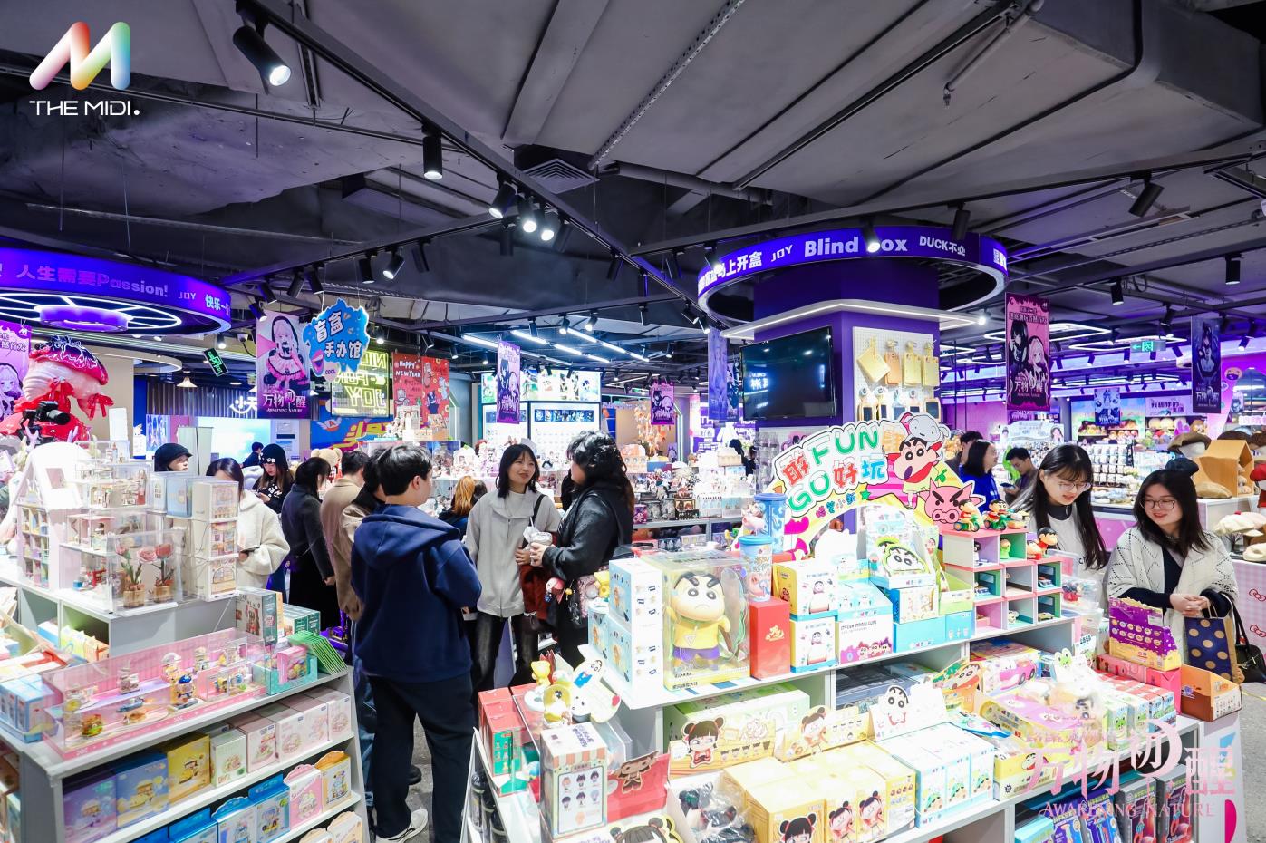 The Rise of a New Force in Trendy Toys: THE MIDI. Brand Leads a New Trend in the Industry with Differentiated Advantages