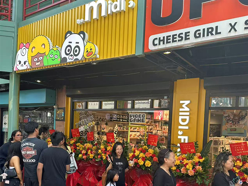 THE MIDI. — A Curated Hub for Trendy Collectibles: The Chicago Store